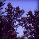 Review photo of Reelfoot Lake State Park Campgrounds by Lynn G., September 30, 2017