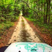 Review photo of Withlacoochee State Forest - Annutteliga Hammock Trail by Alyssa D., May 24, 2020