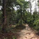 Review photo of Withlacoochee State Forest - Annutteliga Hammock Trail by Alyssa D., May 24, 2020