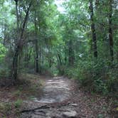 Review photo of Withlacoochee State Forest - Annutteliga Hammock Trail by Alyssa D., May 24, 2020