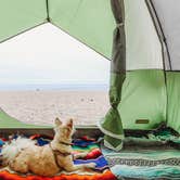 Review photo of Thornhill Broome Beach — Point Mugu State Park by Heather L., May 24, 2020