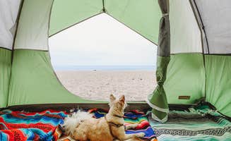 Heather L.'s photo at Thornhill Broome Beach — Point Mugu State Park near Camarillo, CA