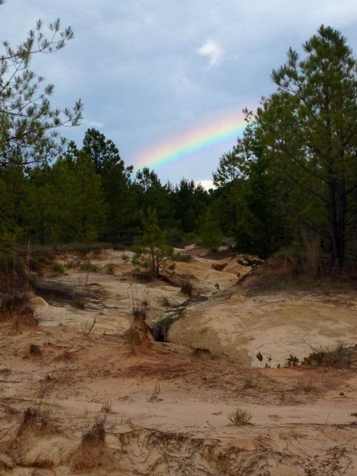 Camper submitted image from Lake Perry Campground - 2