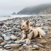 Review photo of Thornhill Broome Beach — Point Mugu State Park by Heather L., May 24, 2020