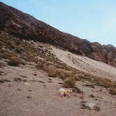 Review photo of Thornhill Broome Beach — Point Mugu State Park by Heather L., May 24, 2020