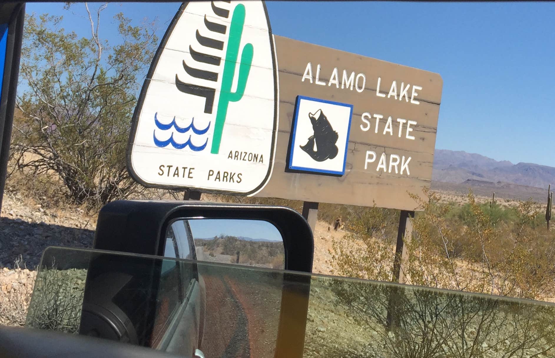 Camper submitted image from Alamo Lake State Park Campground - 4