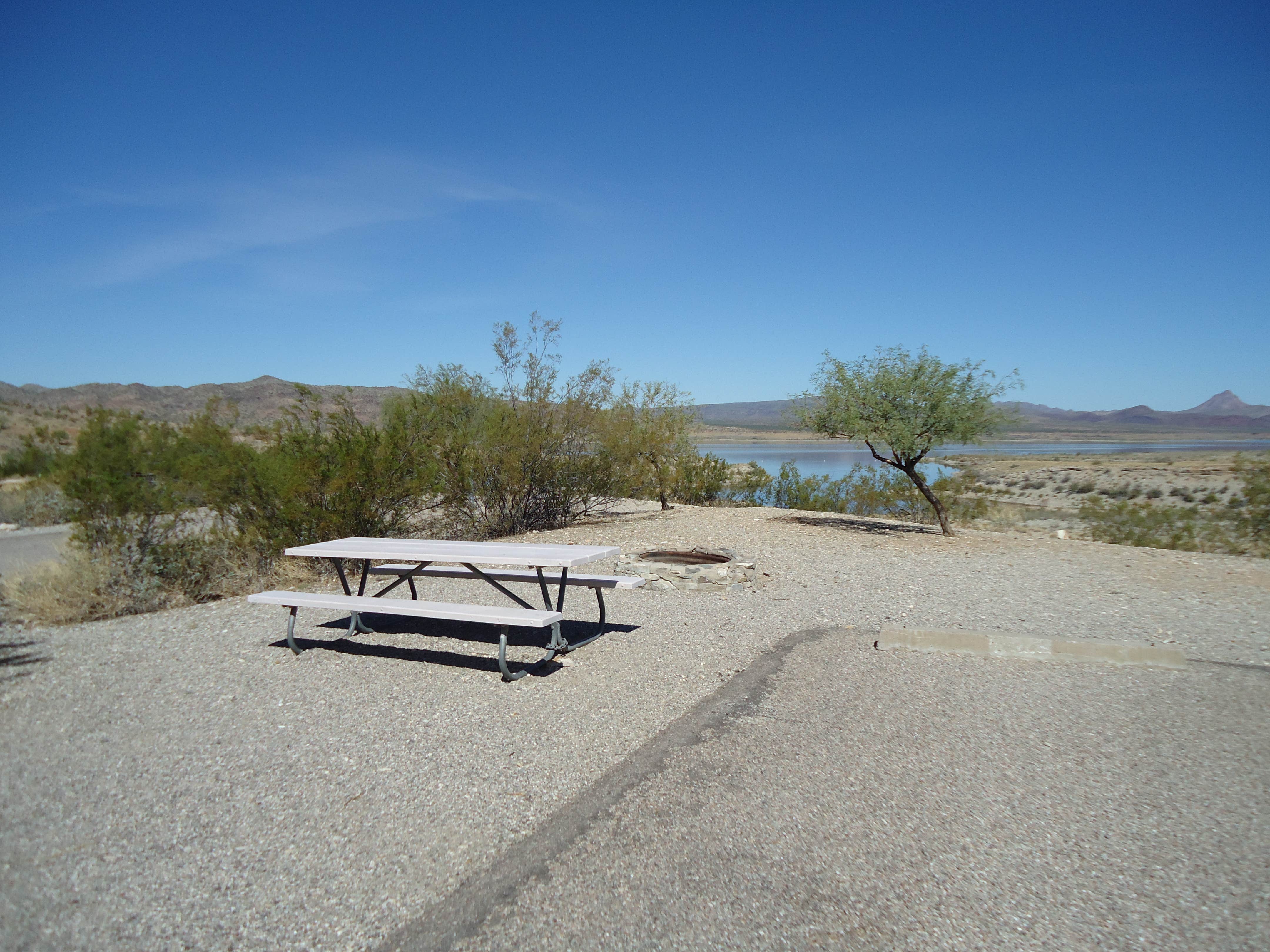Camper-submitted photo at Alamo Lake State Park Campground near Yarnell, AZ