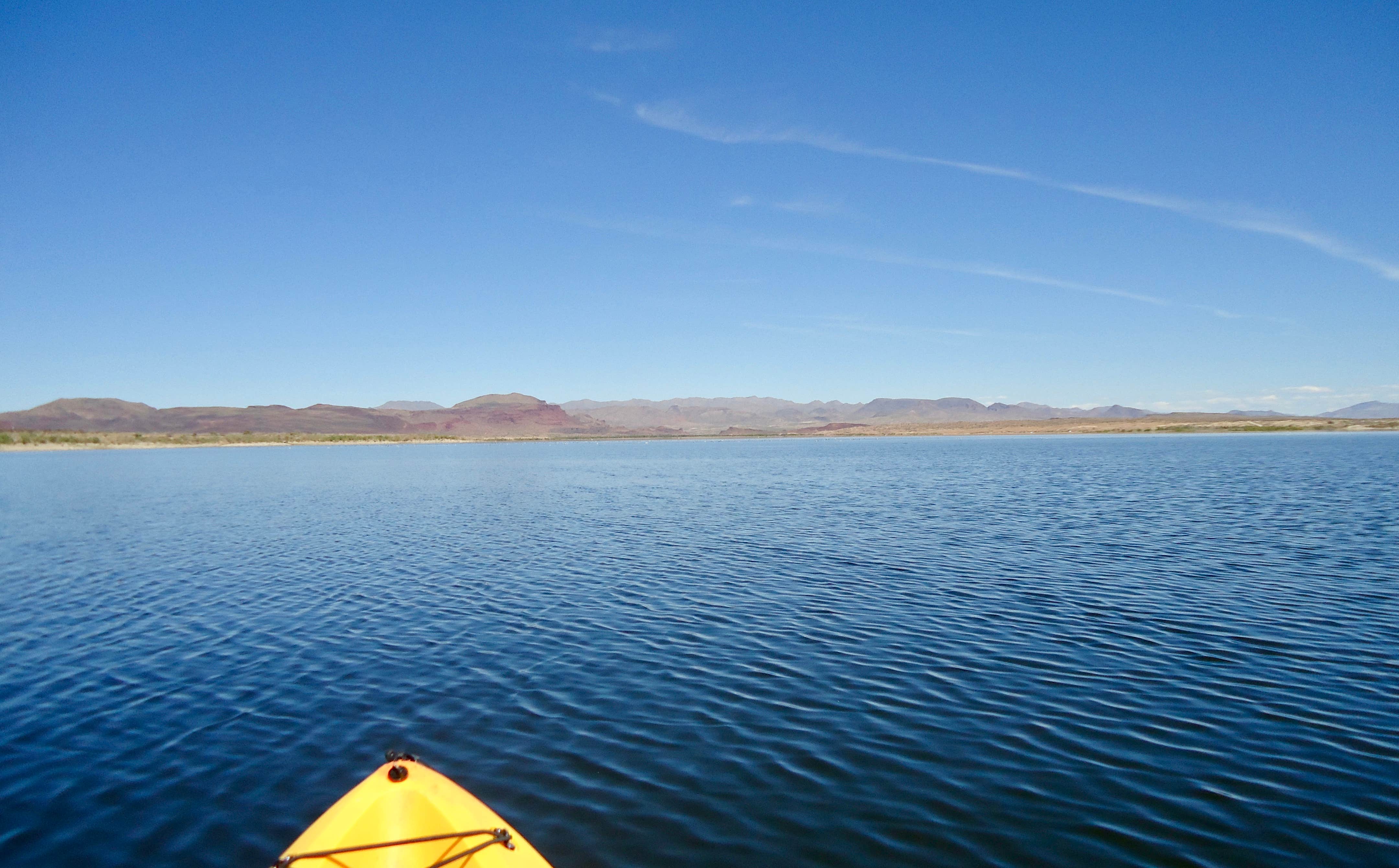 Camper submitted image from Alamo Lake State Park Campground - 4