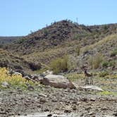 Review photo of Alamo Lake State Park Campground by Chenery K., September 14, 2017