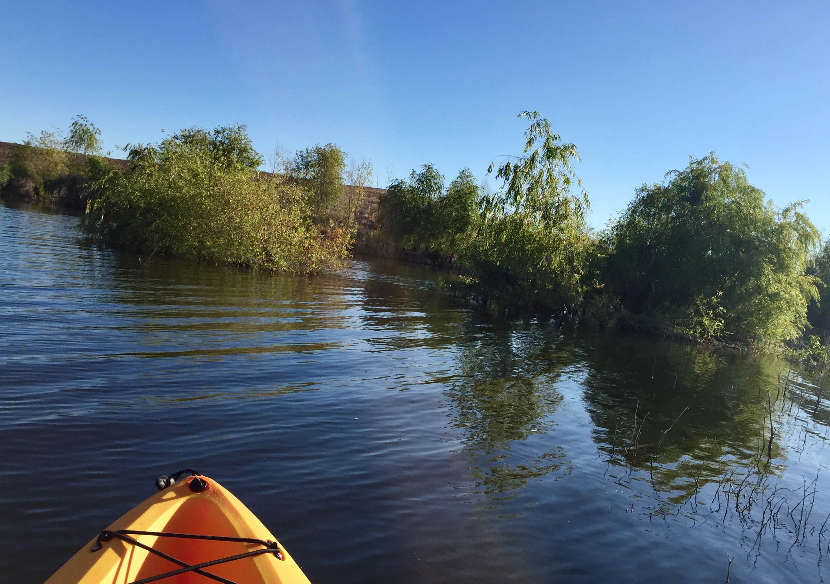 Alamo Lake State Park Campground