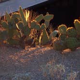 Review photo of Catalina State Park Campground by Amber A., June 30, 2016