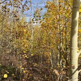 Review photo of Reverend's Ridge Campground — Golden Gate Canyon by Cordelia T., September 30, 2017
