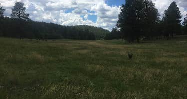 Cibola/Quaking Aspen Campground