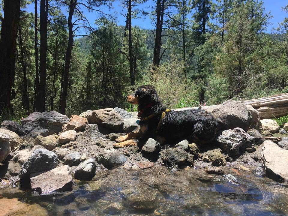 Camper-submitted photo at Ojo Redondo near Prewitt, NM