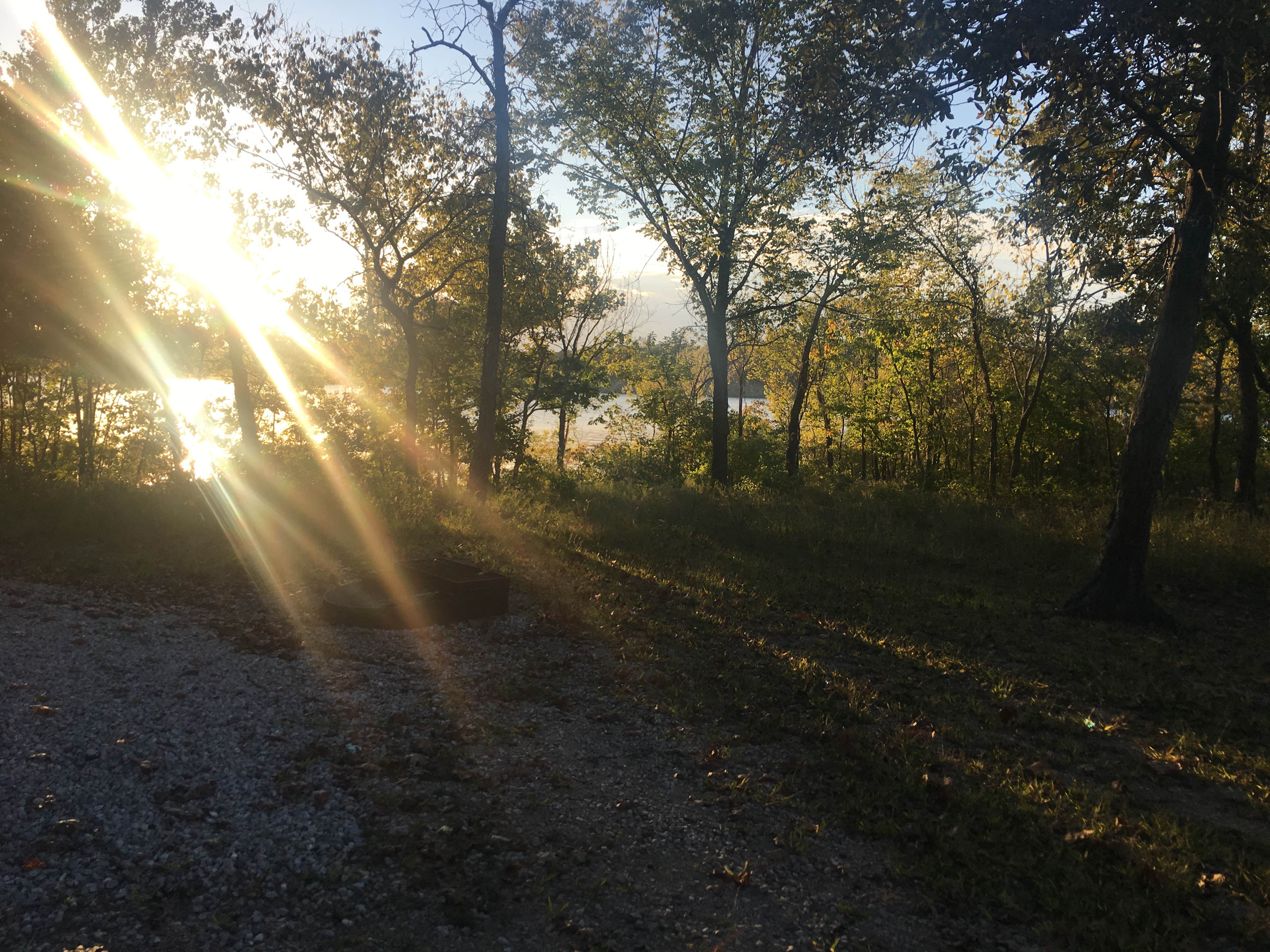 Camper submitted image from Hermitage Area Campground — Pomme de Terre State Park - 4