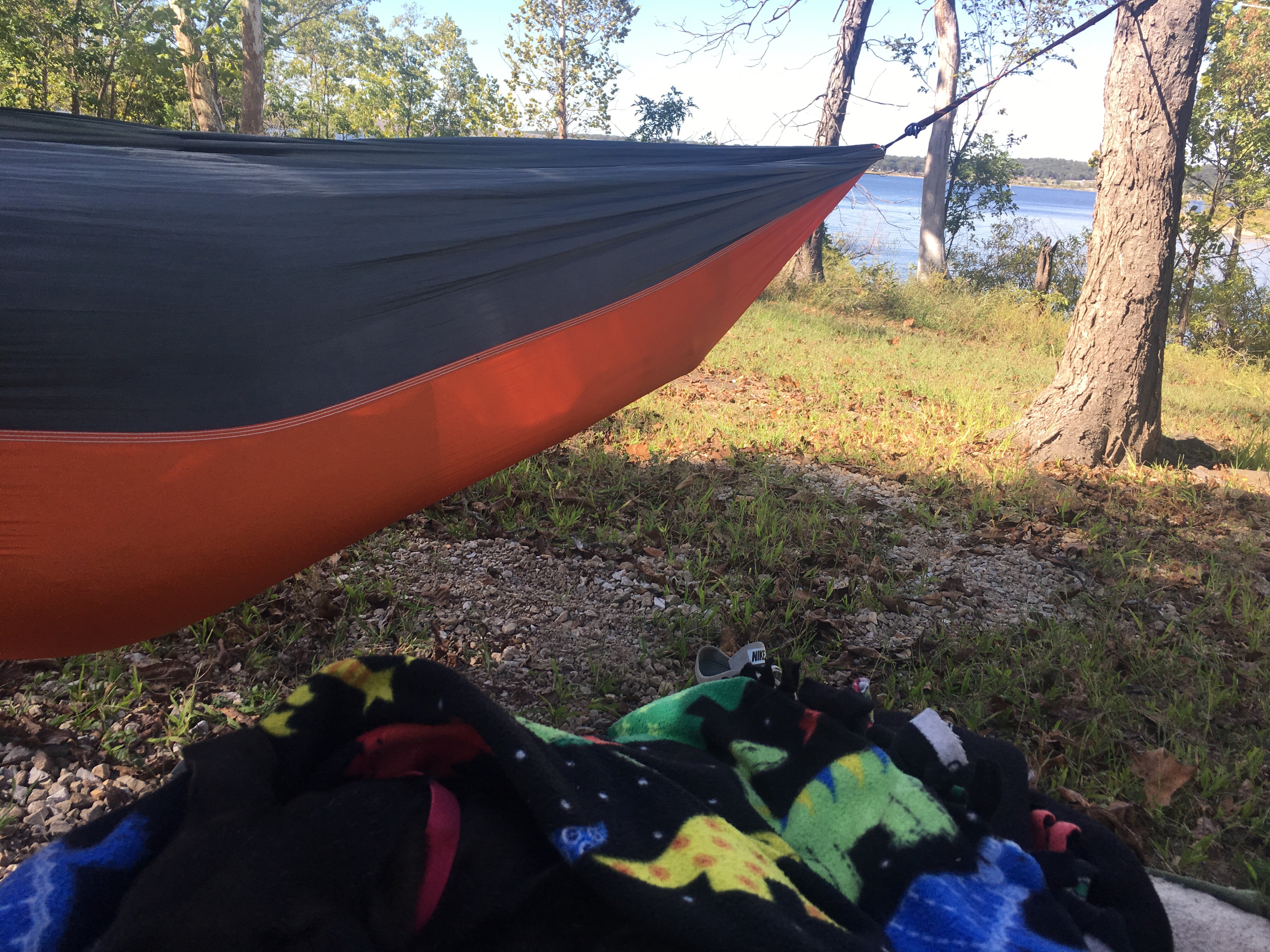 Camper submitted image from Hermitage Area Campground — Pomme de Terre State Park - 5