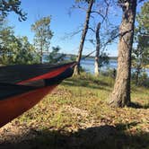 Review photo of Hermitage Area Campground — Pomme de Terre State Park by Cate S., September 30, 2017
