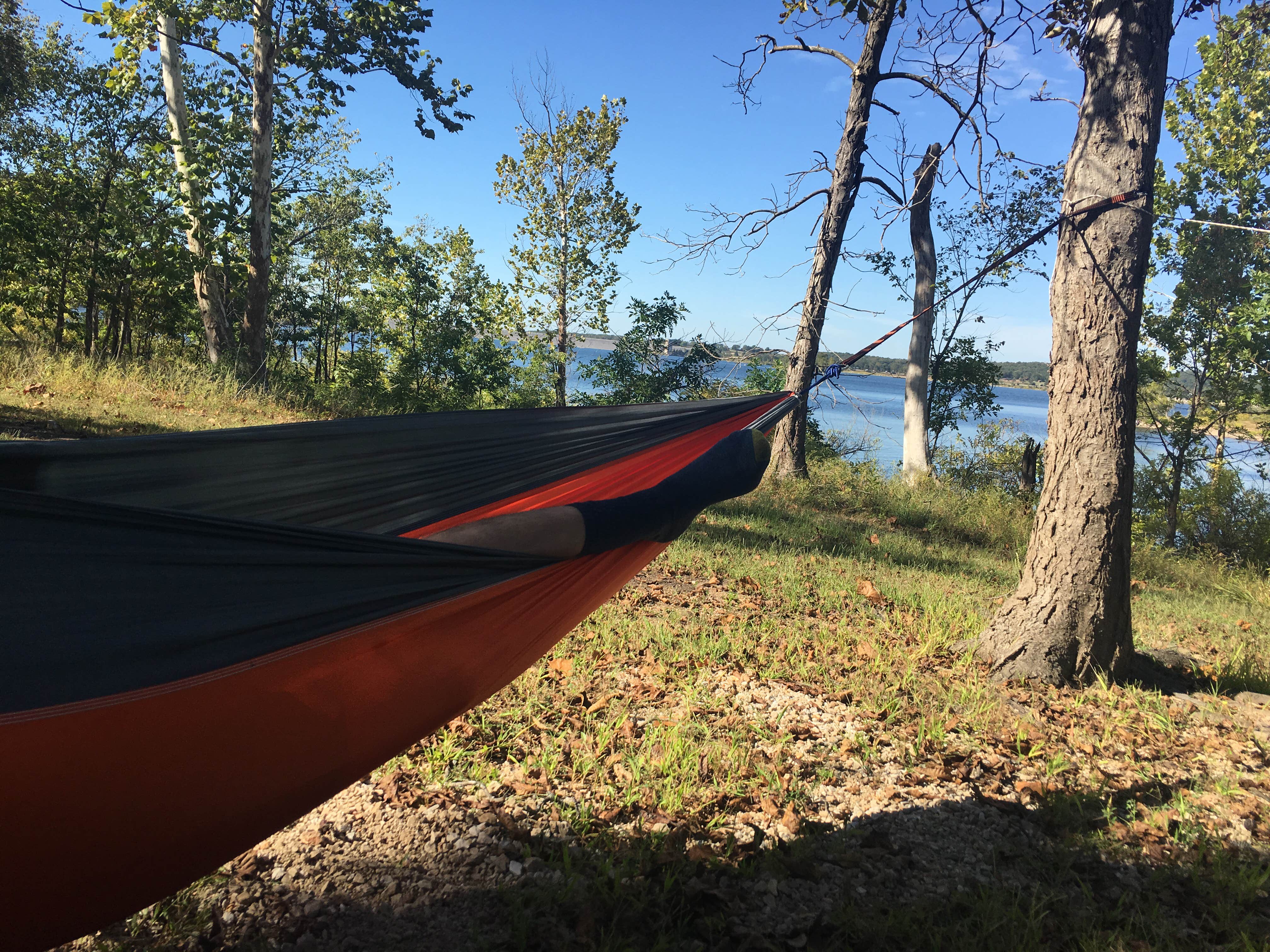 Camper submitted image from Hermitage Area Campground — Pomme de Terre State Park - 5