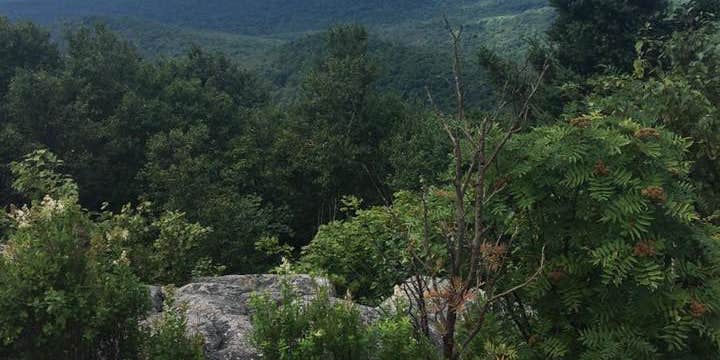 Camper submitted image from Paradox Lake Campground