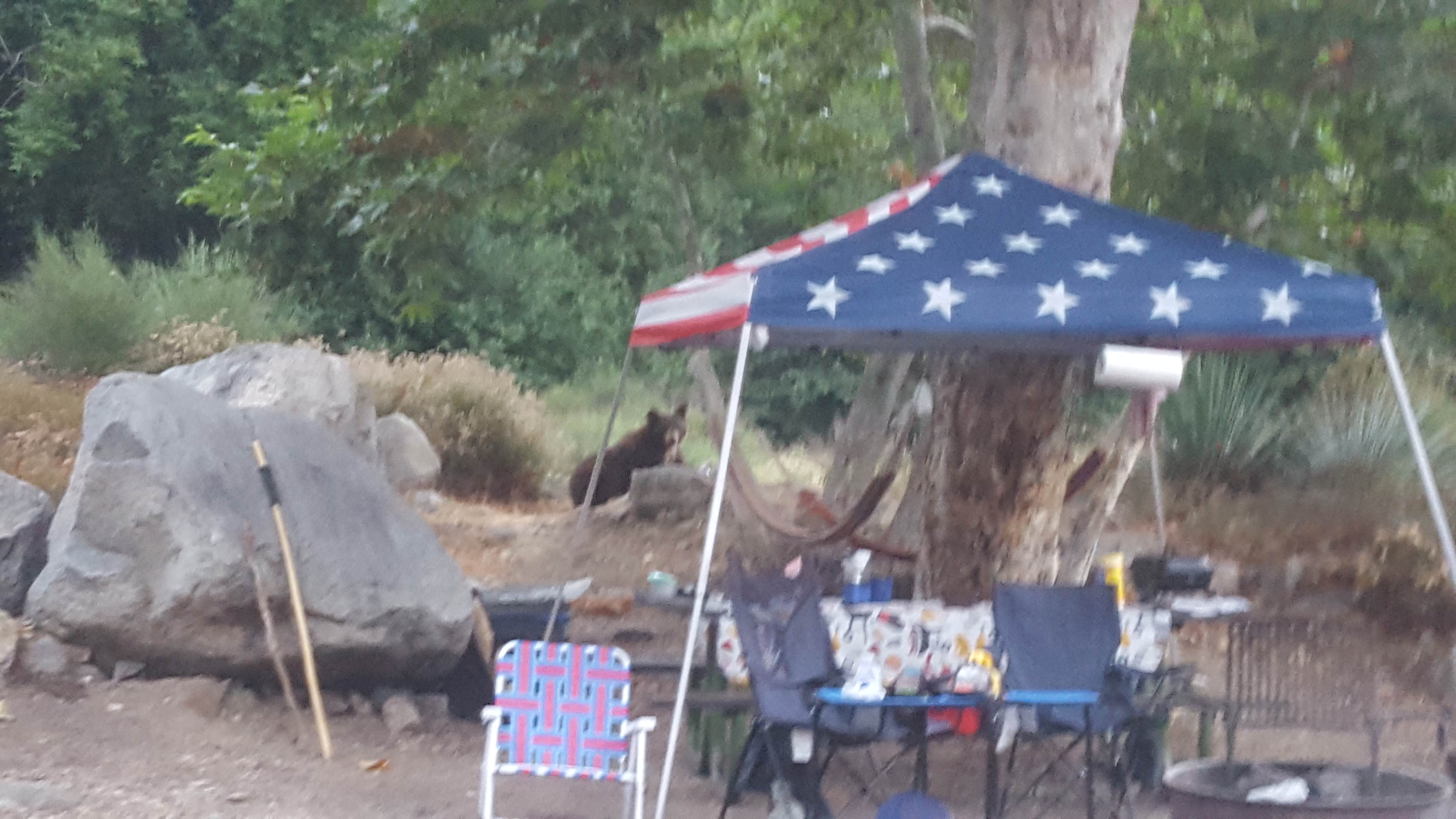Camper submitted image from Coldbrook Campground - 5