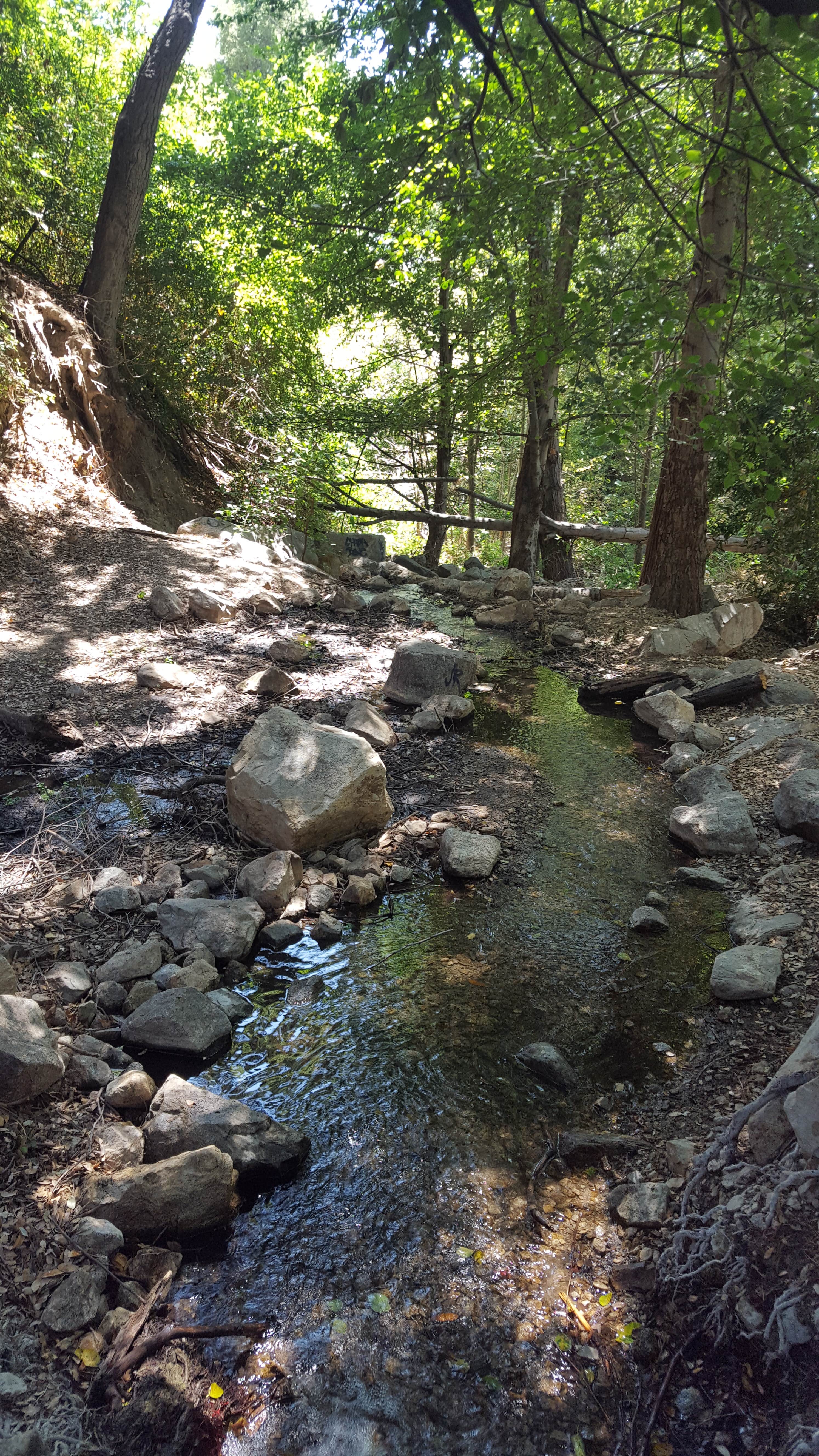 Camper submitted image from Coldbrook Campground - 4