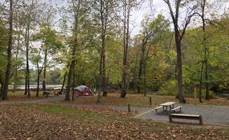 RL's photo of tent camping at Millrace Campground — New River Trail State Park near Ripplemead, VA