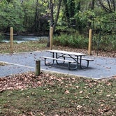 Review photo of Millrace Campground — New River Trail State Park by RL , November 1, 2019