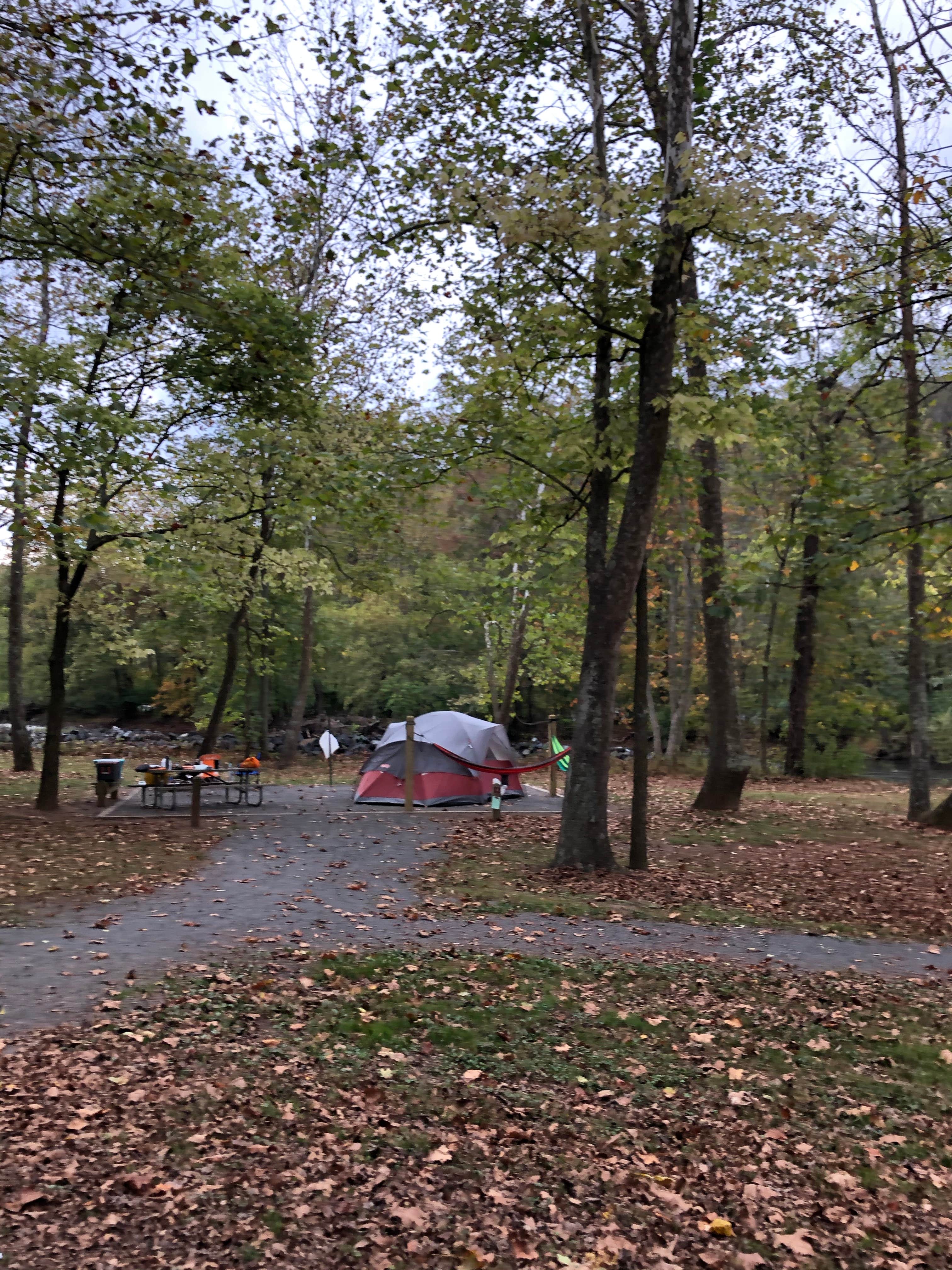 RL's photo at Millrace Campground — New River Trail State Park near Fries, VA