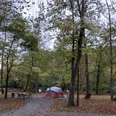 Review photo of Millrace Campground — New River Trail State Park by RL , November 1, 2019