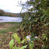 Review photo of Millrace Campground — New River Trail State Park by RL , November 1, 2019