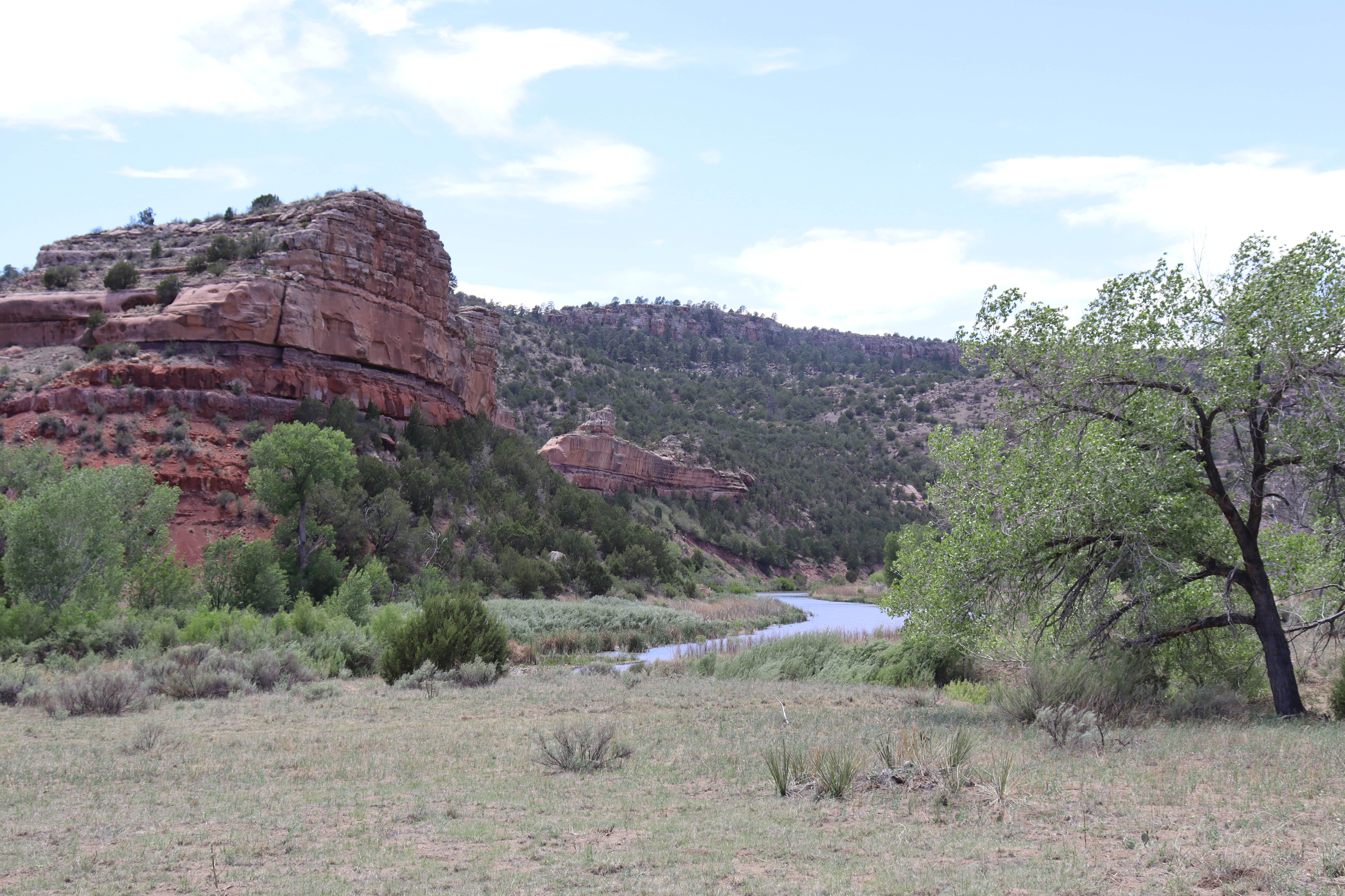 Camper-submitted photo at Mills Canyon Campground near Cimarron, NM