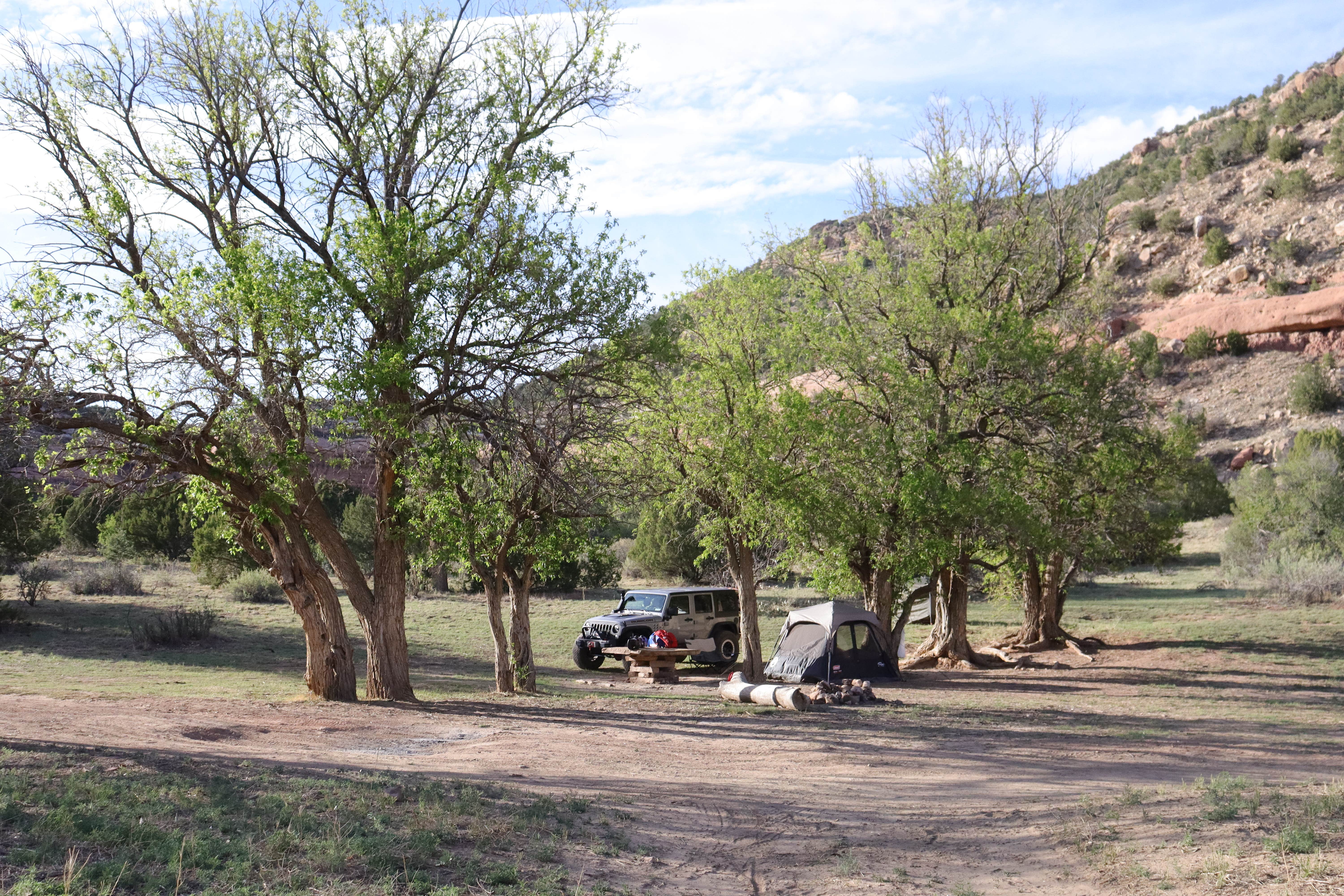 Camper-submitted photo at Mills Canyon Campground near Cimarron, NM