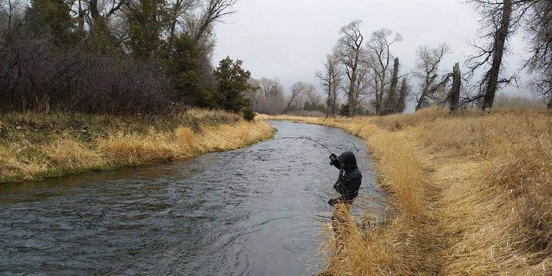 Camper submitted image from Judith River State WMA