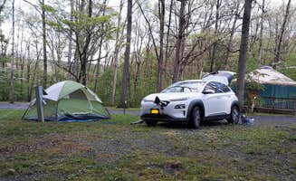 Danielle S.'s photo at Shawnee State Park Campground near Stoystown, PA