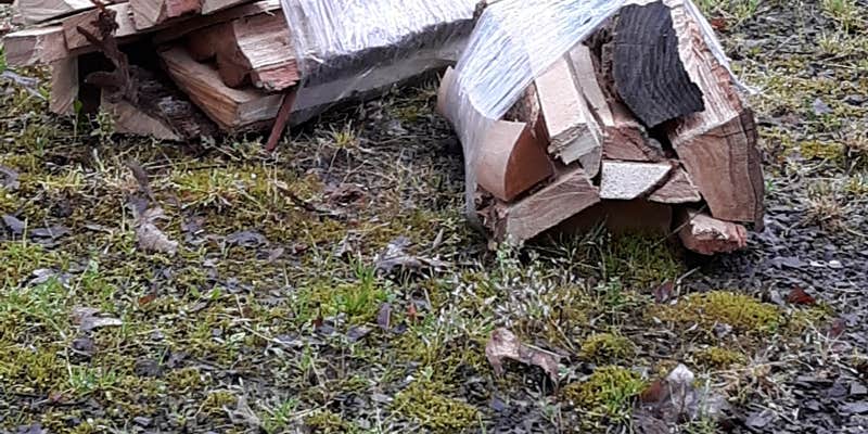 Camper submitted image from Shawnee State Park Campground