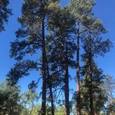 Review photo of Apache Creek Campground by Laura S., May 24, 2020