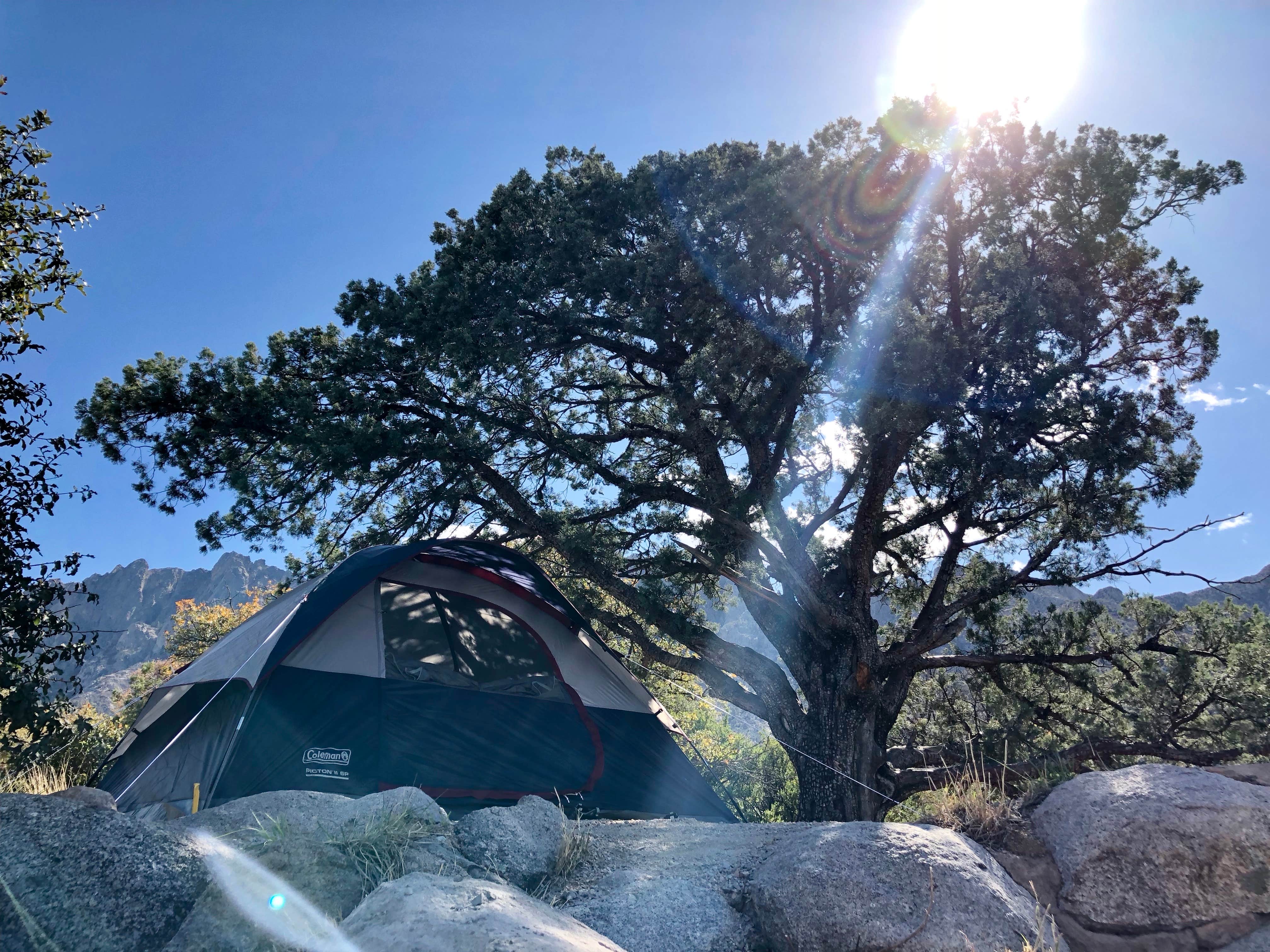 Camper submitted image from Aguirre Spring Recreation Area and Campground - 5