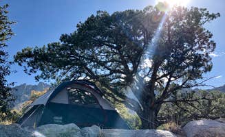 Laura P.'s photo at Aguirre Spring Recreation Area and Campground near Chaparral, NM