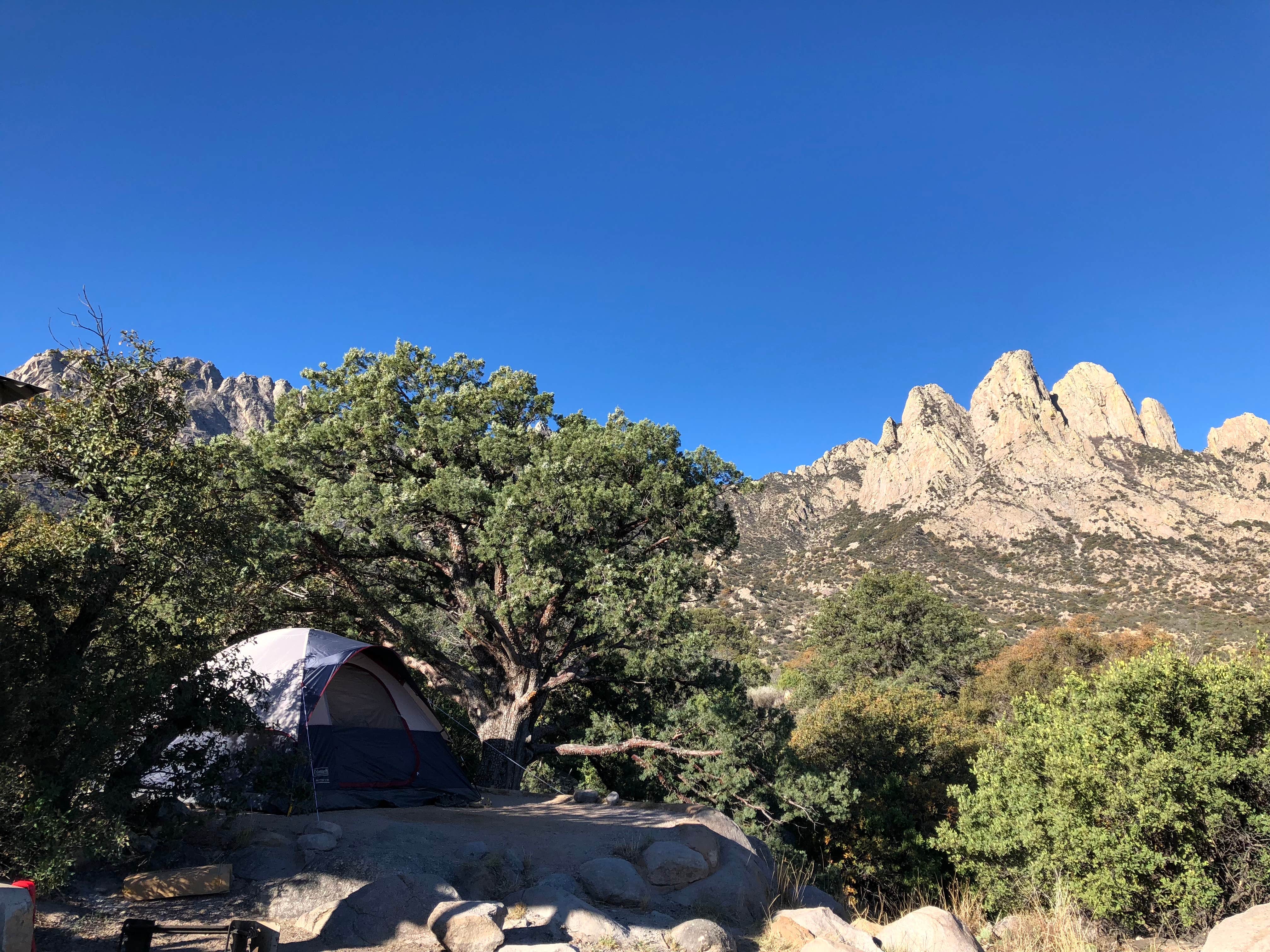 Laura P.'s photo at Aguirre Spring Recreation Area and Campground near San Ysidro, NM