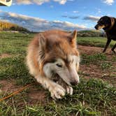 Review photo of Dispersed Camping on Mud Creek Road by GoWhereYouAreDraw N., May 24, 2020