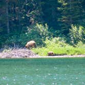 Review photo of St Mary Campground - Glacier National Park — Glacier National Park by Laura S., May 24, 2020