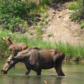 Review photo of St Mary Campground - Glacier National Park — Glacier National Park by Laura S., May 24, 2020