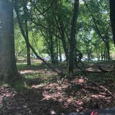 Review photo of Mulberry River Outdoor Adventures  by Sheila H., May 24, 2020