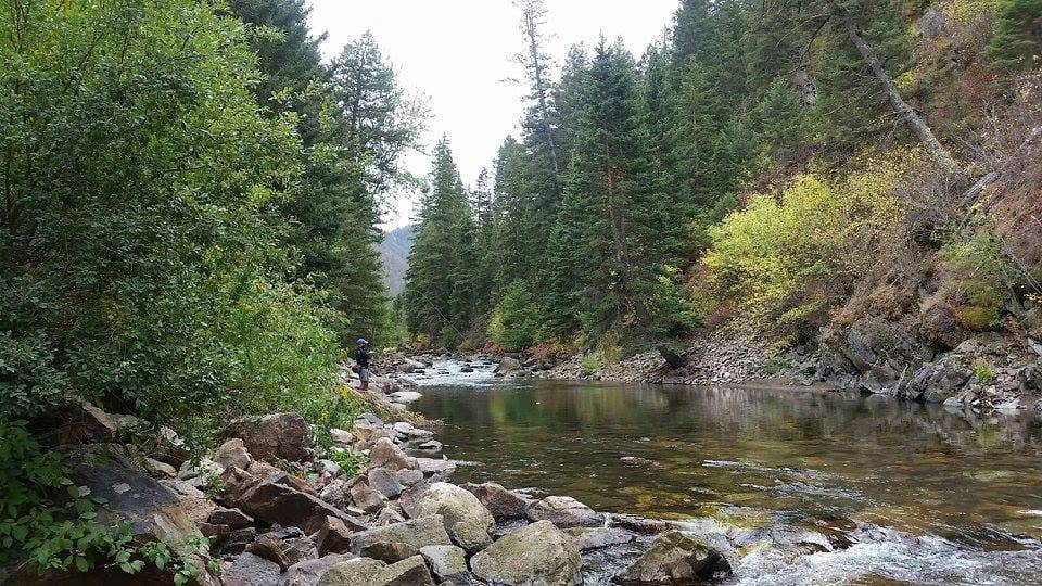 Camper submitted image from Beaverhead National Forest Wade Lake Campground and Picnic Area - 4