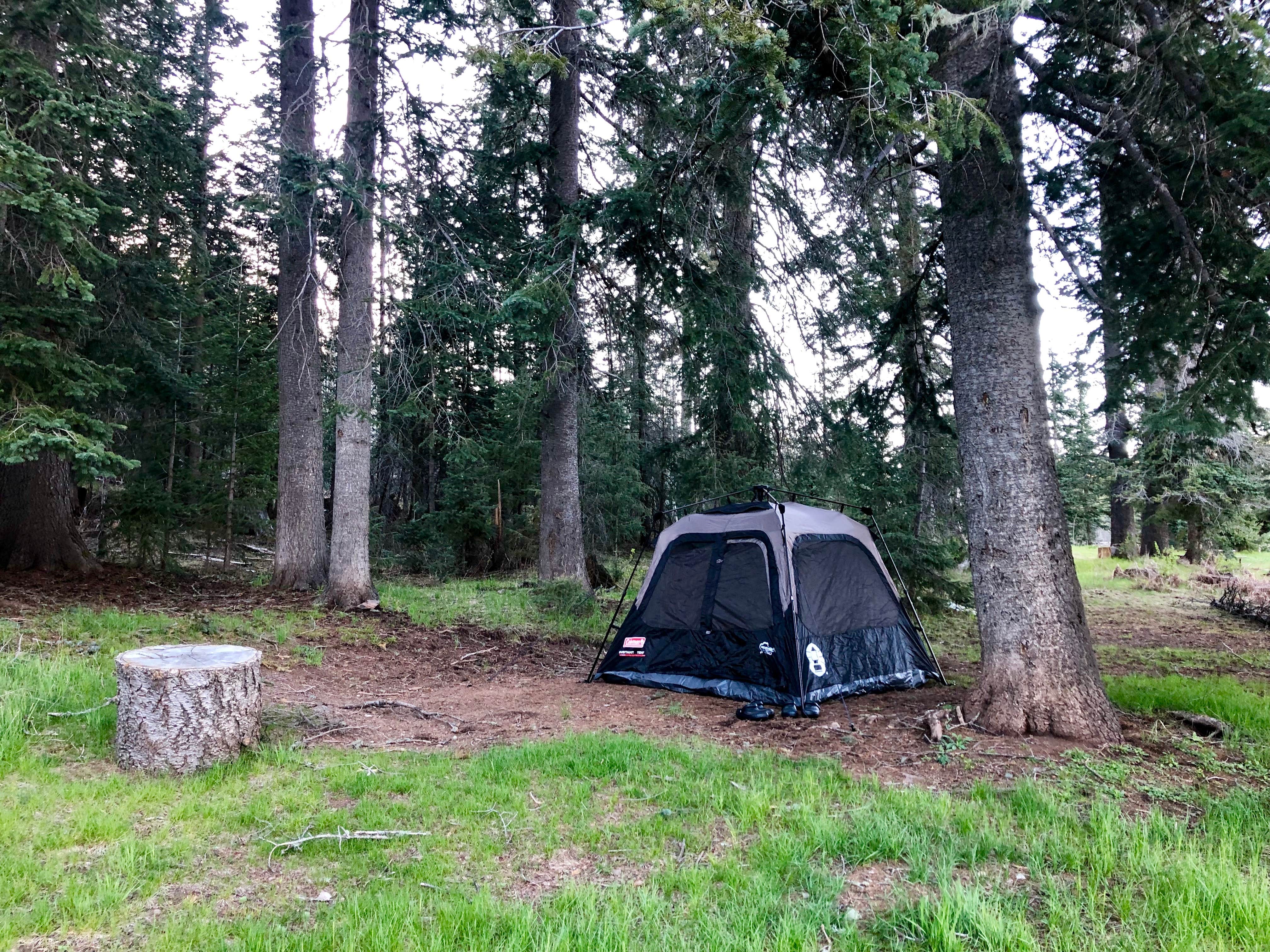 Camper submitted image from KP Cienega Campground - 4