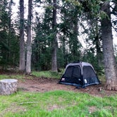 Review photo of KP Cienega Campground by Laura S., May 24, 2020