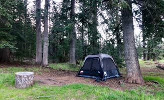 Laura P.'s photo at KP Cienega Campground near Morenci, AZ