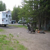 Review photo of Bridge Bay Campground — Yellowstone National Park by Dawn G., May 25, 2020