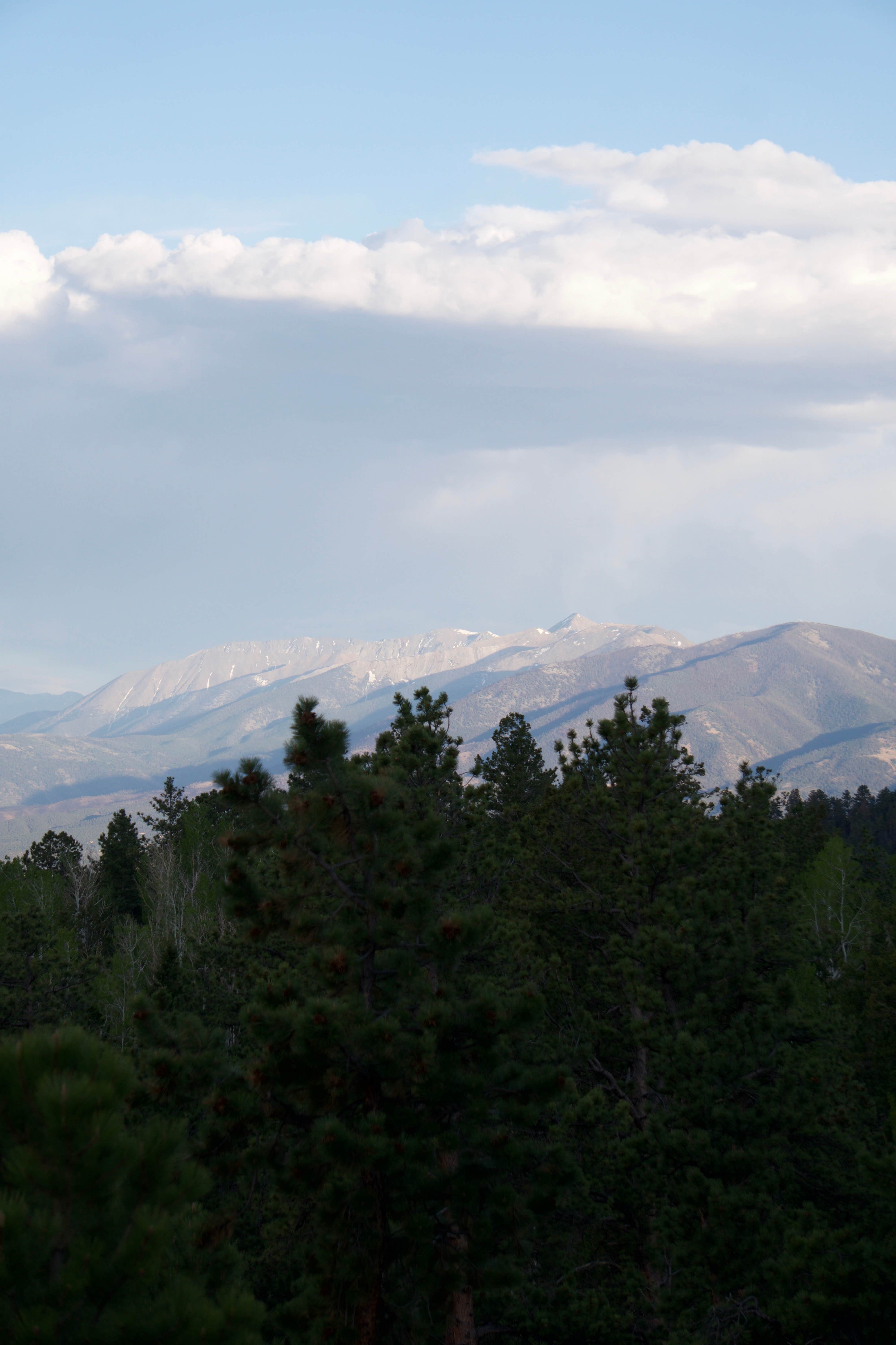 Camper-submitted photo at Browns Creek near Poncha Springs, CO
