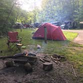 Review photo of Tar Hollow State Park Campground by Beth Ann W., May 25, 2020